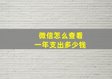 微信怎么查看一年支出多少钱