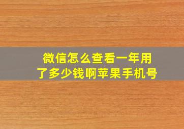 微信怎么查看一年用了多少钱啊苹果手机号