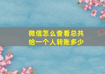 微信怎么查看总共给一个人转账多少