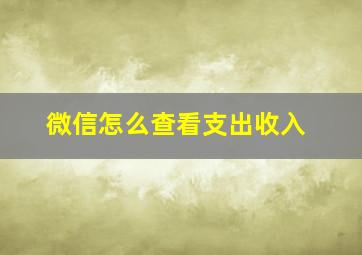 微信怎么查看支出收入