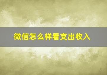 微信怎么样看支出收入