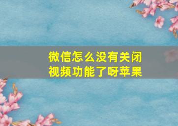 微信怎么没有关闭视频功能了呀苹果