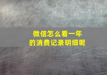 微信怎么看一年的消费记录明细呢