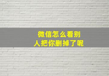 微信怎么看别人把你删掉了呢