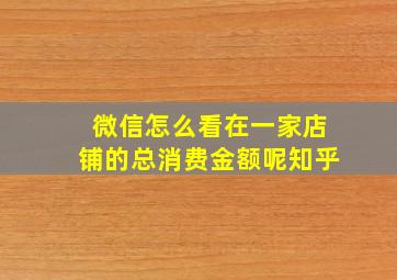 微信怎么看在一家店铺的总消费金额呢知乎