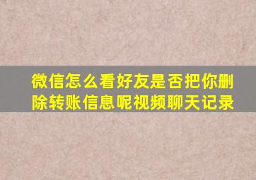 微信怎么看好友是否把你删除转账信息呢视频聊天记录