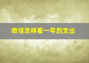 微信怎样看一年的支出