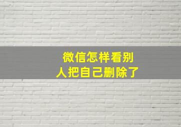 微信怎样看别人把自己删除了