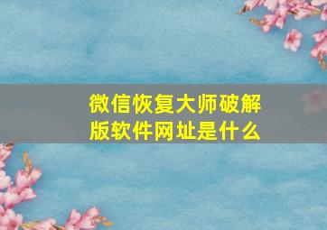 微信恢复大师破解版软件网址是什么