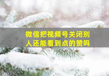 微信把视频号关闭别人还能看到点的赞吗