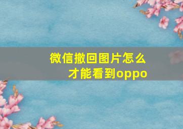 微信撤回图片怎么才能看到oppo