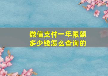 微信支付一年限额多少钱怎么查询的