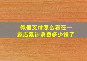 微信支付怎么看在一家店累计消费多少钱了