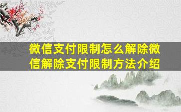 微信支付限制怎么解除微信解除支付限制方法介绍