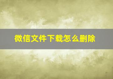 微信文件下载怎么删除