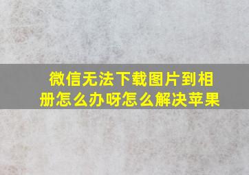 微信无法下载图片到相册怎么办呀怎么解决苹果