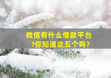 微信有什么借款平台?你知道这五个吗?