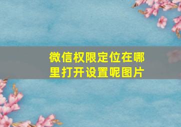 微信权限定位在哪里打开设置呢图片