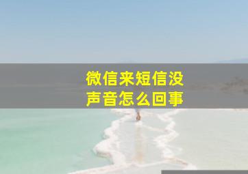 微信来短信没声音怎么回事