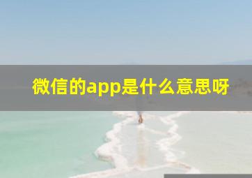 微信的app是什么意思呀