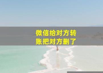 微信给对方转账把对方删了