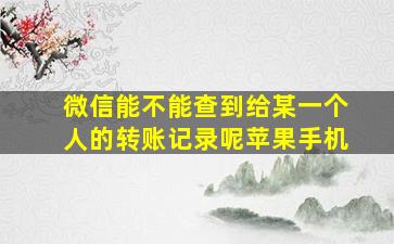 微信能不能查到给某一个人的转账记录呢苹果手机