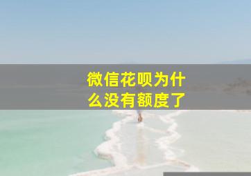 微信花呗为什么没有额度了