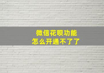 微信花呗功能怎么开通不了了