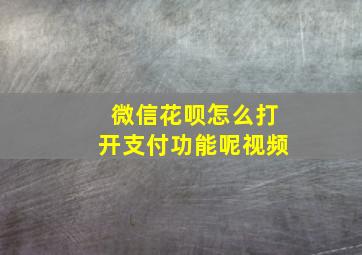 微信花呗怎么打开支付功能呢视频