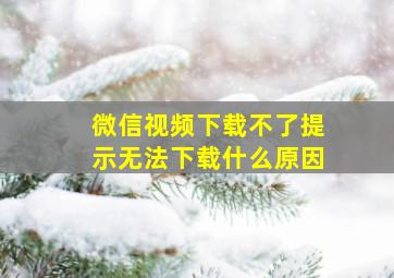 微信视频下载不了提示无法下载什么原因