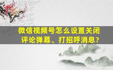 微信视频号怎么设置关闭评论弹幕、打招呼消息?