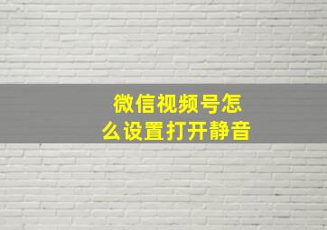 微信视频号怎么设置打开静音