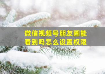 微信视频号朋友圈能看到吗怎么设置权限