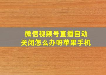 微信视频号直播自动关闭怎么办呀苹果手机