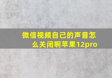 微信视频自己的声音怎么关闭啊苹果12pro