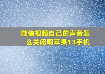 微信视频自己的声音怎么关闭啊苹果13手机