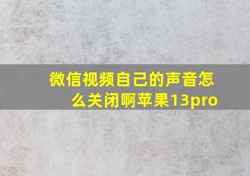 微信视频自己的声音怎么关闭啊苹果13pro