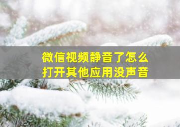 微信视频静音了怎么打开其他应用没声音