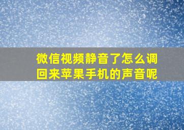 微信视频静音了怎么调回来苹果手机的声音呢