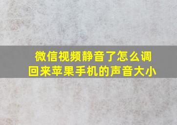 微信视频静音了怎么调回来苹果手机的声音大小