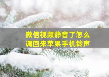 微信视频静音了怎么调回来苹果手机铃声