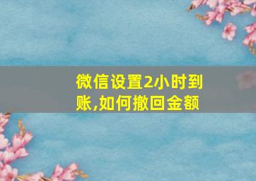 微信设置2小时到账,如何撤回金额