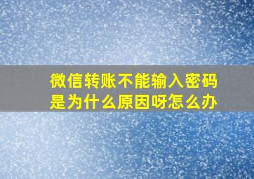 微信转账不能输入密码是为什么原因呀怎么办