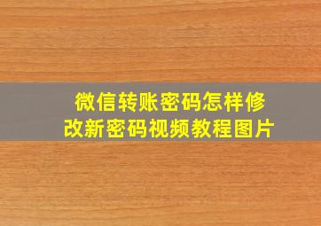 微信转账密码怎样修改新密码视频教程图片