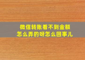 微信转账看不到金额怎么弄的呀怎么回事儿