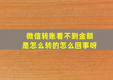 微信转账看不到金额是怎么转的怎么回事呀