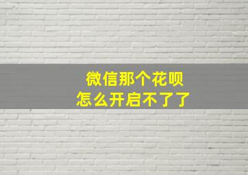 微信那个花呗怎么开启不了了