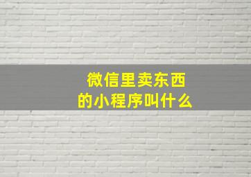 微信里卖东西的小程序叫什么