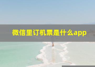 微信里订机票是什么app