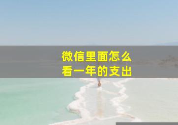 微信里面怎么看一年的支出